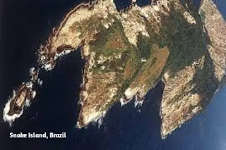 दुनिया की 5 सबसे खतरनाक और रहस्यमयी जगह ( Duniya Ki 5 Sabse Khatarnak Jagah ) Snake Island, Brazil