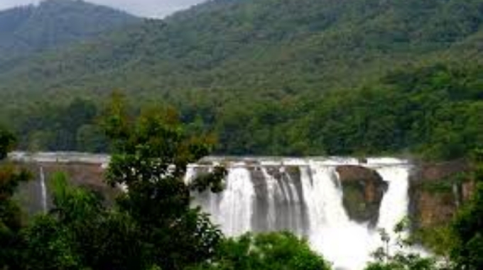 trichur forest, kerla