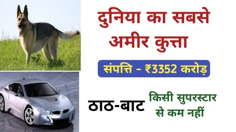 world's richest dog Gunthar vi