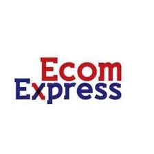 ecom express courier franchise